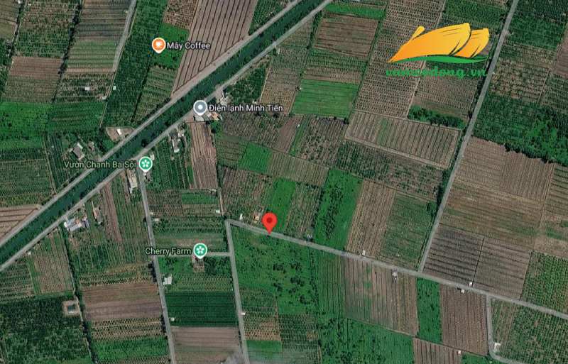 27.465.01 4045m2 đất vườn cách kênh T4 500m